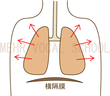 胸式呼吸図